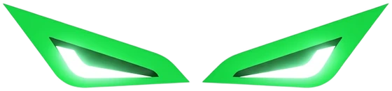 EVSoch